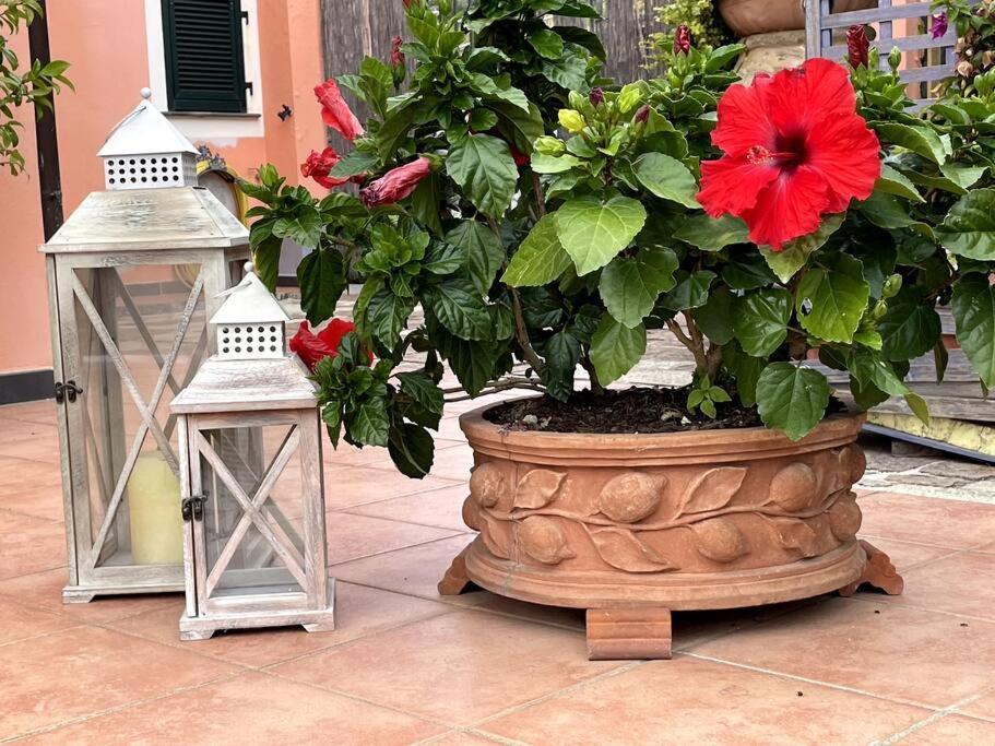 Сasa de vacaciones Annali - Shabby Style Nella Natura