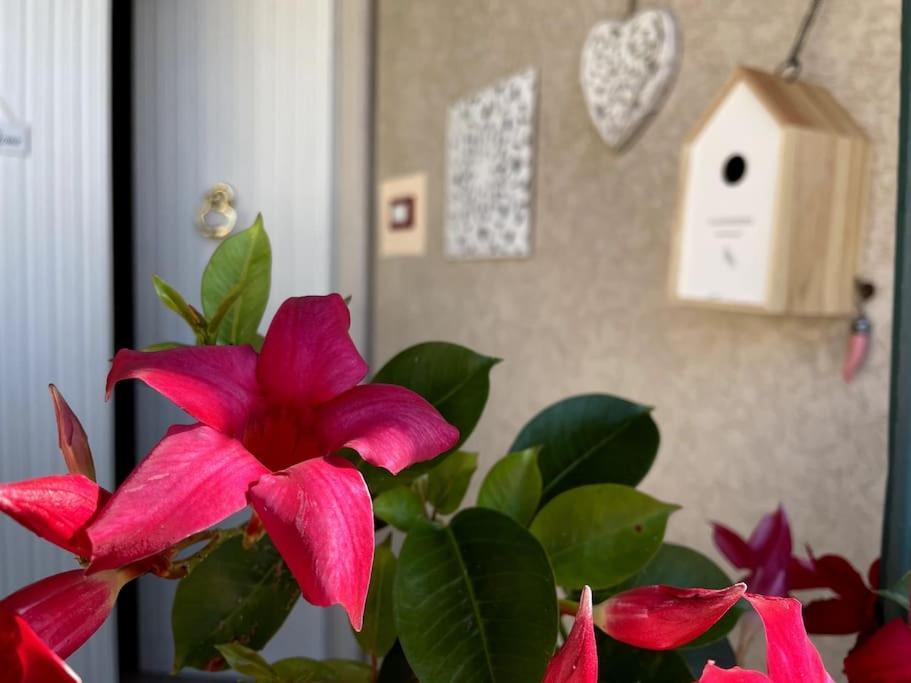 Holiday home Annali - Shabby Style Nella Natura La Spezia